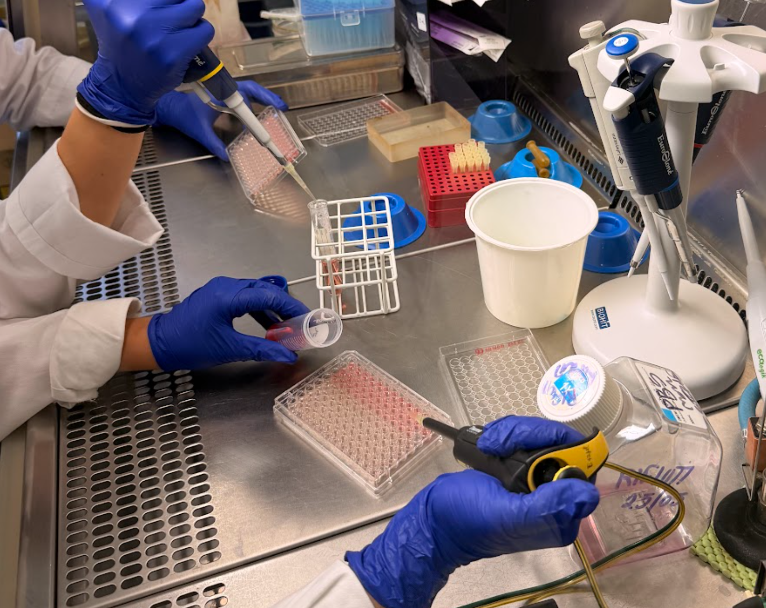 Molecular Neurophysiology Lab